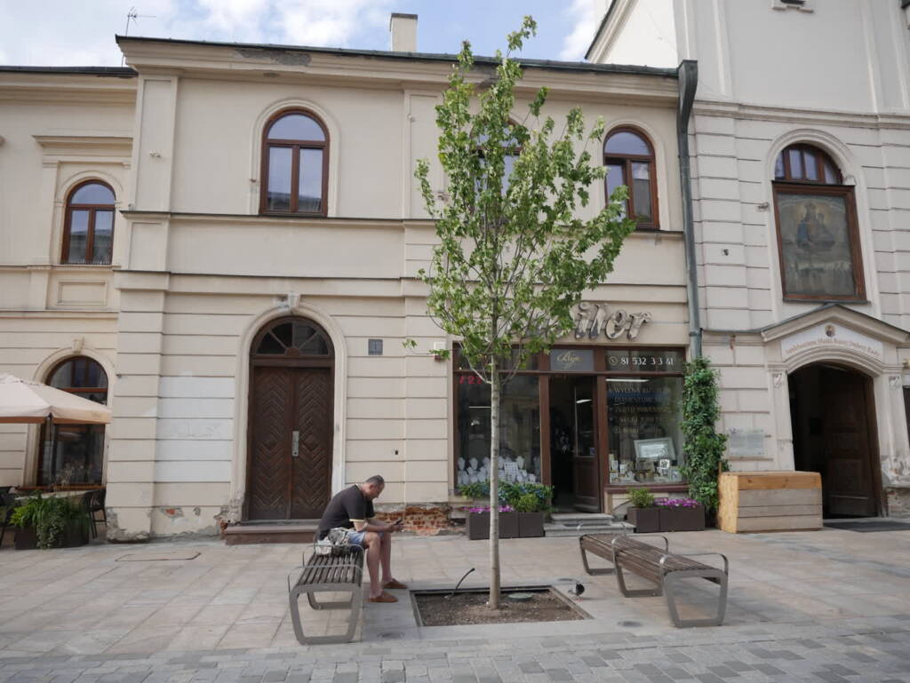 Krakowskie Przedmieście w Lublinie. Trwają prace związane z wymianą platanów 1 EAttachments958685150a9335f300101d0295fee371ae69a8b xl