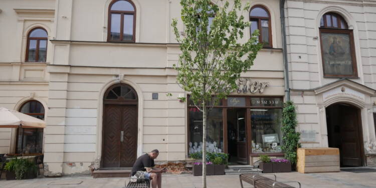 Krakowskie Przedmieście w Lublinie. Trwają prace związane z wymianą platanów 1 EAttachments958685150a9335f300101d0295fee371ae69a8b xl