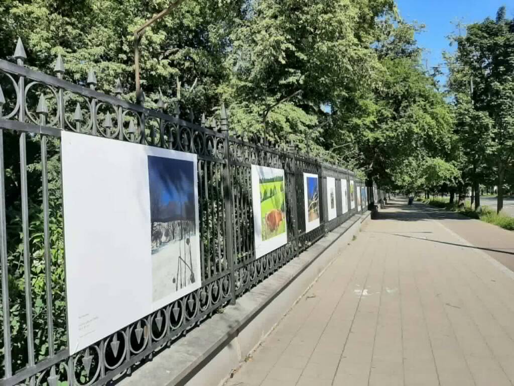 "Malarstwo wychodzi z książki”. Maria Strzelecka w Galerii Saskiej 1 EAttachments95887707784cc74488044613039d0894260e191 xl