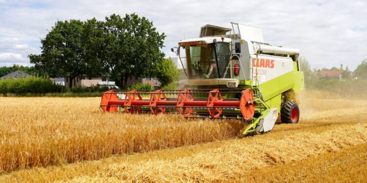 22.06.2026 Agrobiznes 1 EAttachments95915931ee7fdc30b0d356d3e3b7b69b32f8fe7 xl