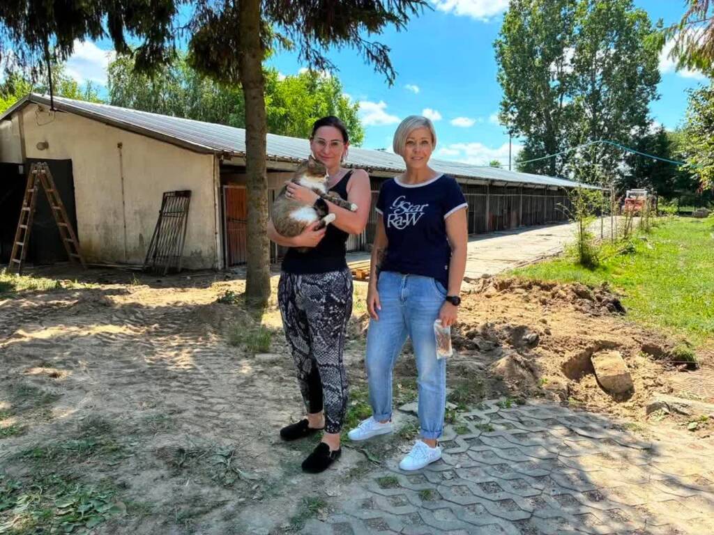 Zamość: psy i koty czekają na nowy dom 2 EAttachments9595793fd4524e2fad3330af2750962676a30c8 xl