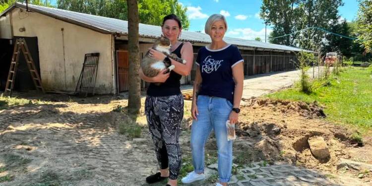 Zamość: psy i koty czekają na nowy dom 1 EAttachments9595793fd4524e2fad3330af2750962676a30c8 xl