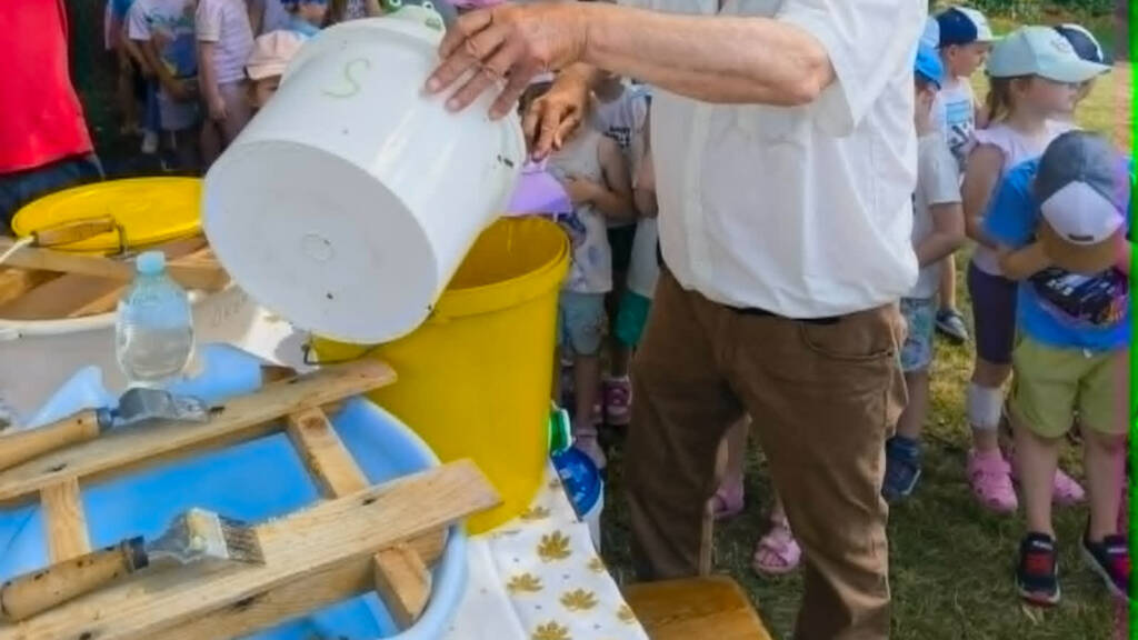 Miód z pralek. Elektrośmieci zmieniły się w ule 1 EAttachments95959053bcdd5845f06ade1d564a3822f6bed05 xl