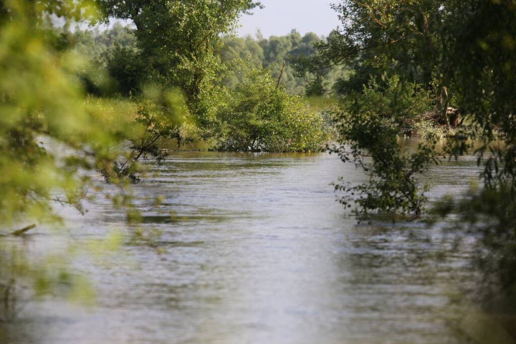 Ostrzeżenie hydrologiczne przed gwałtownymi wzrostami stanów wody w regionie 1 EAttachments4182370a3569913298160d0467227ac8e6b83d4
