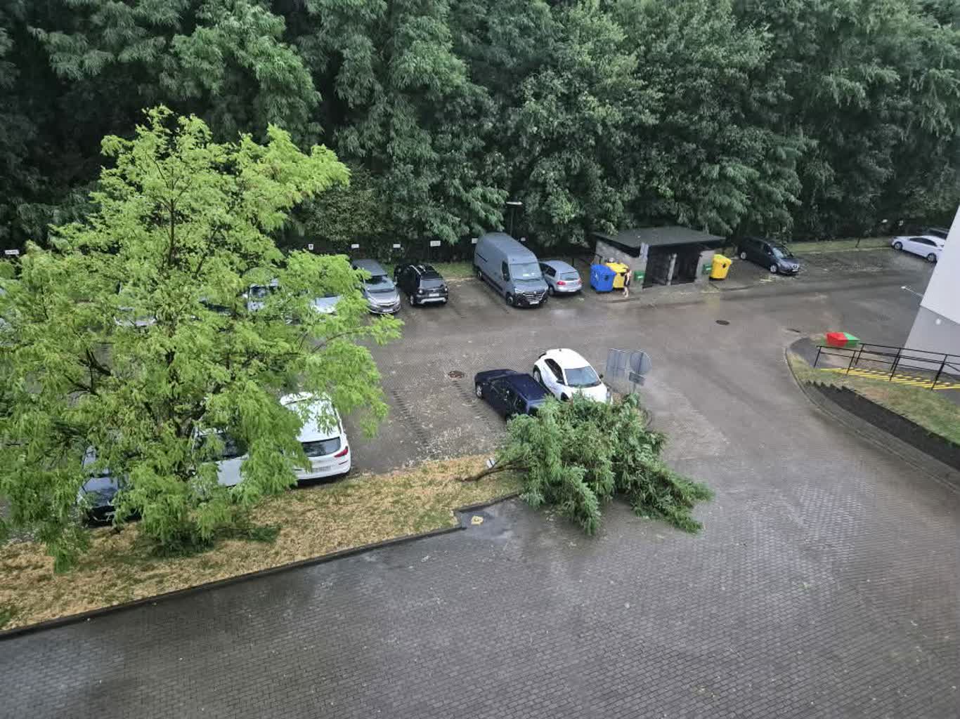 puławy1.jpg