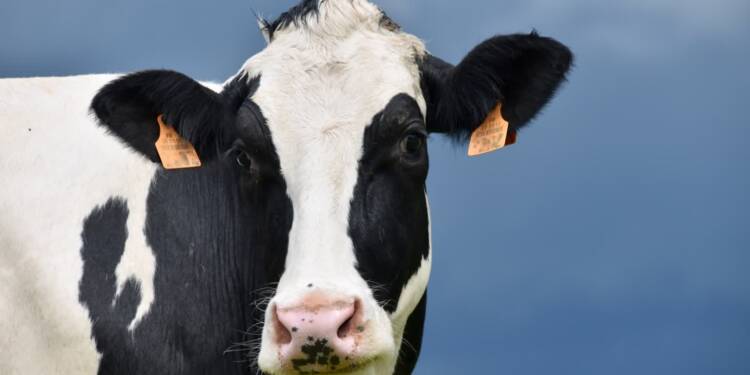 03.07.2026 Agrobiznes - Wystawa Zwierząt Hodowlanych, Maszyn i Urządzeń Rolniczych w Sitnie 1 EAttachments961598669f04f0e5cae930b0183069e89a2bfa1 xl