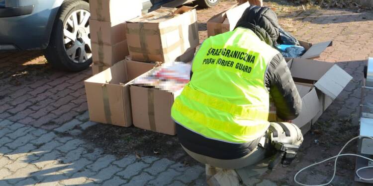 Milionowe straty Skarbu Państwa. Straż Graniczna zatrzymała 9 osób 1 EAttachments9621173c186d0fa7345c091980332ede2ef6f1e xl