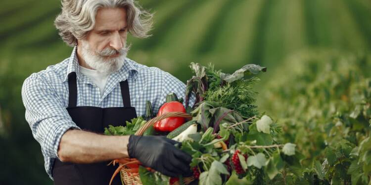 09.07.2026 Agrobiznes - o Portalu Rolnika 1 EAttachments962626797b4c51389aff89b5a81adbcc6c4737c xl