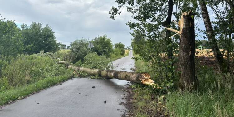 Silny wiatr w regionie. Kilkadziesiąt interwencji strażaków 1 EAttachments962648331be52cef947f72a4d0cccf904d8f961 xl