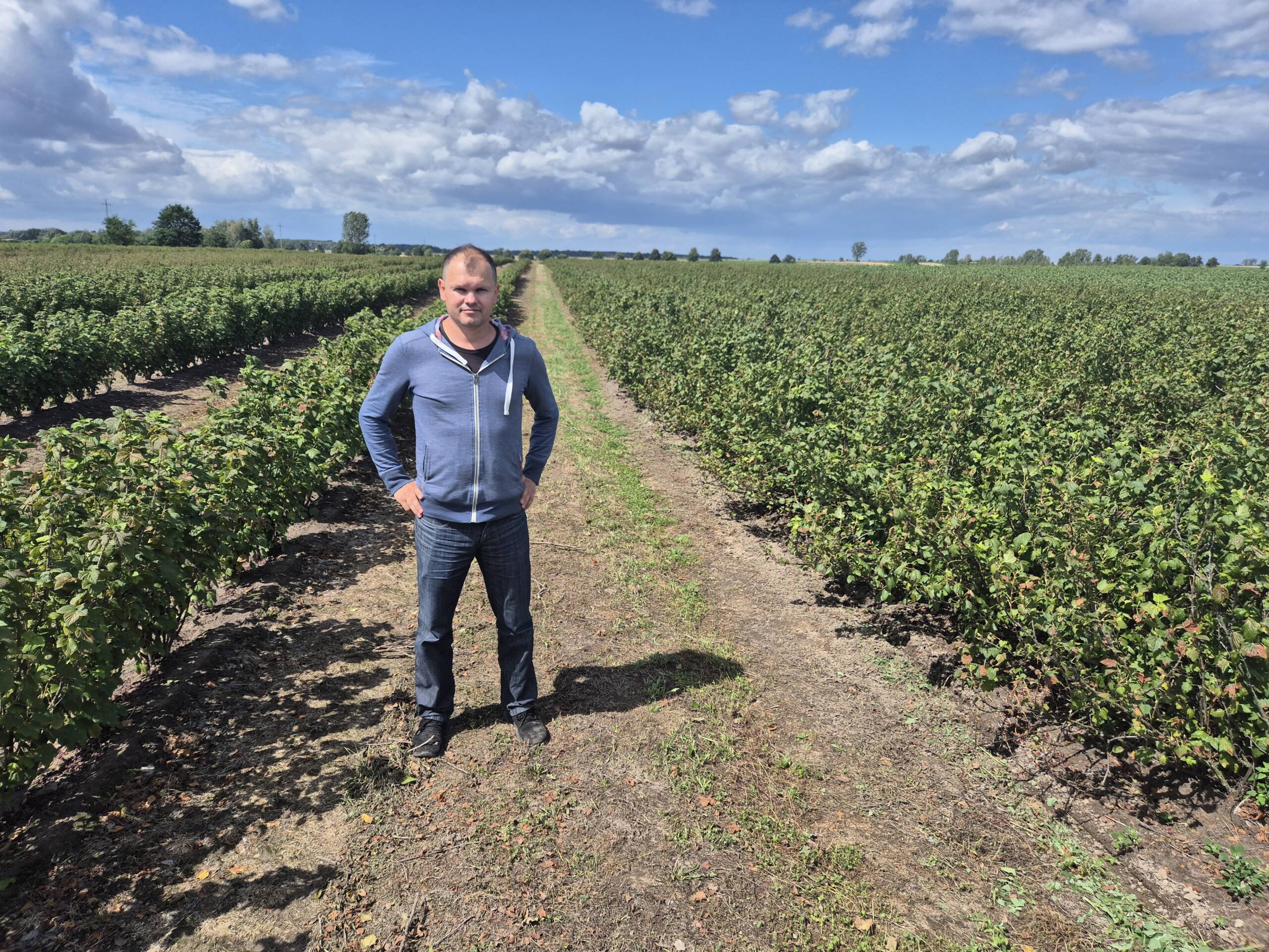 "Kolejny kataklizm". Upały zniszczyły plantacje 2 20260708_141812.jpg