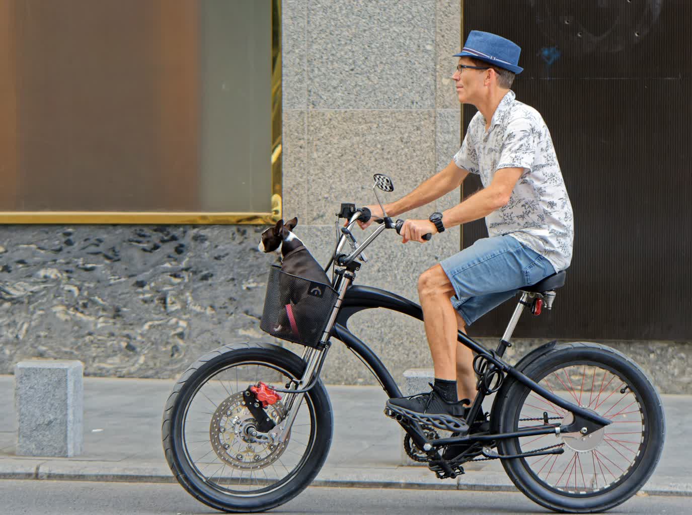 surprising_media-cyclist-7380019.jpg