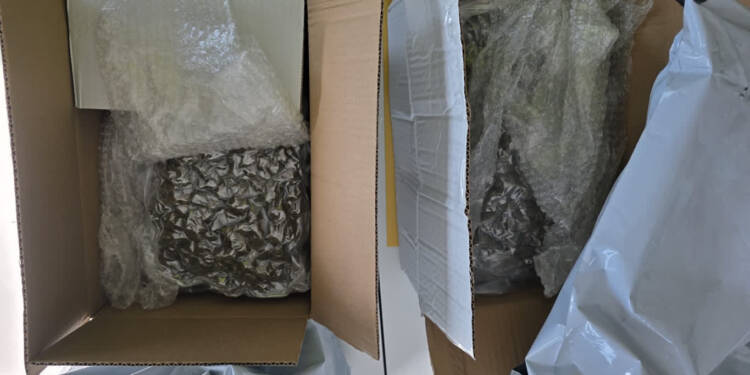Marihuana w przesyłkach kurierskich. Przybyła z zagranicy 1 EAttachments96301754276f9ae327da0509a381d68548b72b2 xl