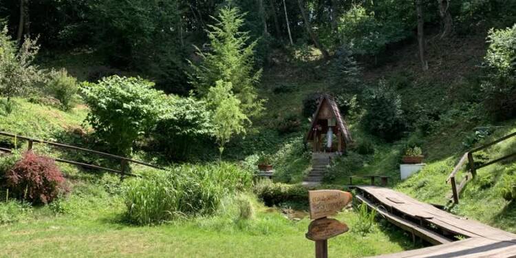 Piknik u Źródełka. Dańczypol zaprasza na rodzinne świętowanie 1 EAttachments963224684c747f1fe7436aa55b1af8ab522de09 xl