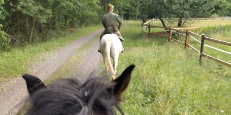 Konne patrole wróciły na szlaki Roztoczańskiego Parku Narodowego 1 EAttachments96337083062faea53f4f7a8894d7f68567beda4 xl