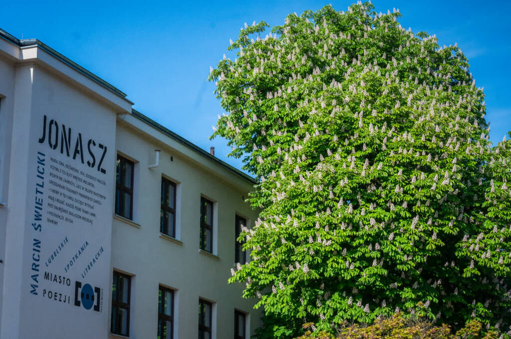 Dobra informacja dla absolwentów. Są miejsca w lubelskich szkołach ponadpodstawowych 2 EAttachments964097882f56d5e632abcc34d113a08ee14b05a xl