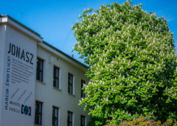 Dobra informacja dla absolwentów. Są miejsca w lubelskich szkołach ponadpodstawowych 2 EAttachments964097882f56d5e632abcc34d113a08ee14b05a xl