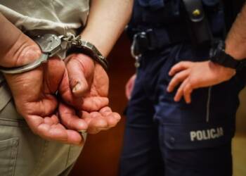 Pięć osób zatrzymanych. Odpowiedzą za rozpowszechnianie pornografii dziecięcej 2 EAttachments9641620e9d5c47923abd7ac0d1e2248b2d64249 xl