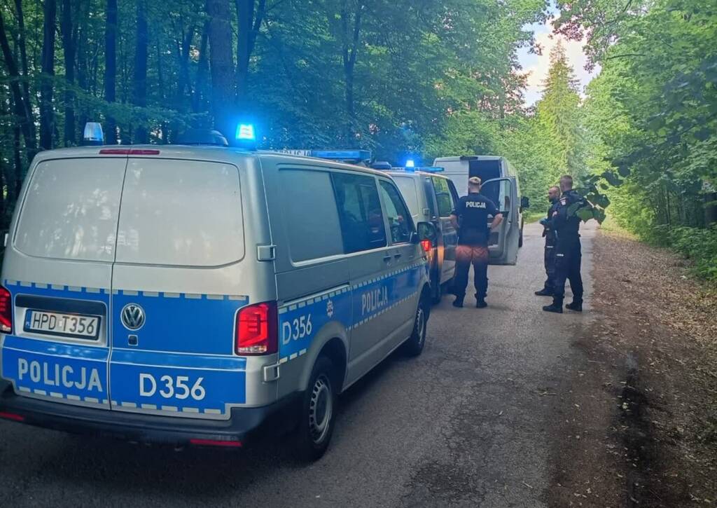 Busem uciekał przed policją. Był pijany 1 EAttachments96421846cb6b9ce83bcf1d4cd623188c3f99381 xl