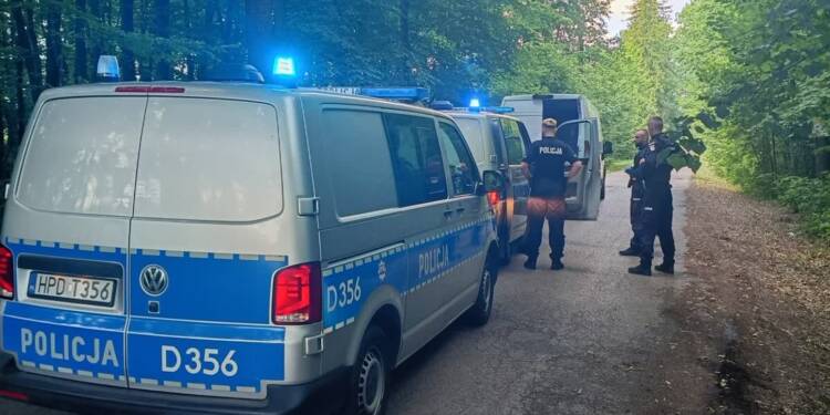 Busem uciekał przed policją. Był pijany 1 EAttachments96421846cb6b9ce83bcf1d4cd623188c3f99381 xl