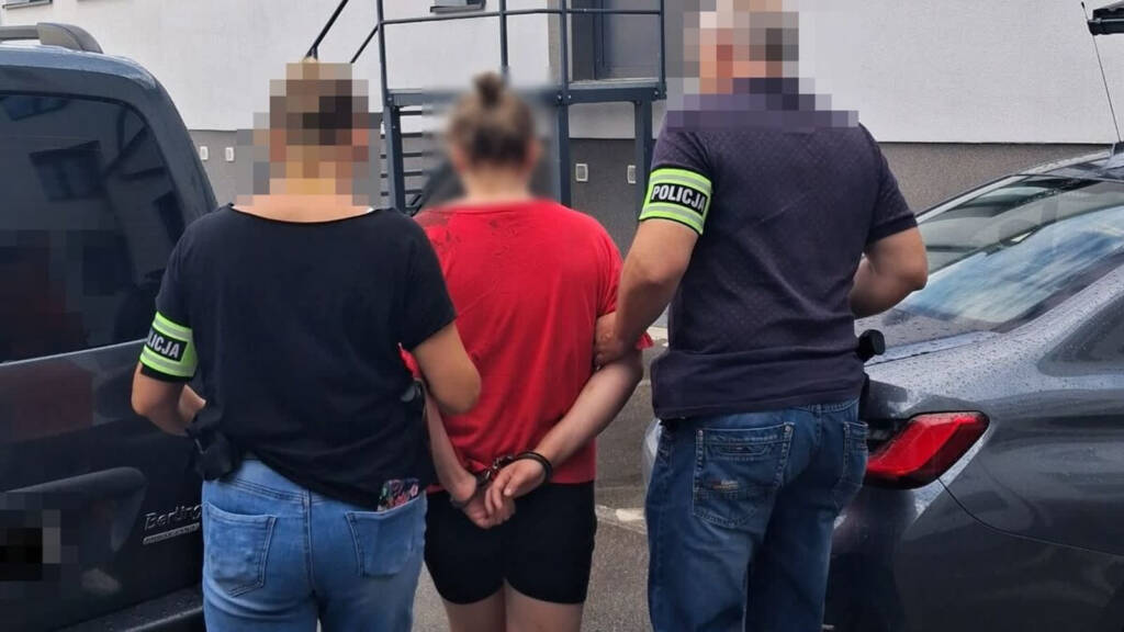 Potrąciła matkę z dwójką dzieci. 27-latka w areszcie 1 EAttachments9642944fe7eeaf621b565f1184cb61ad8ac2d5b xl