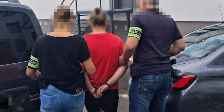 Potrąciła matkę z dwójką dzieci. 27-latka w areszcie 1 EAttachments9642944fe7eeaf621b565f1184cb61ad8ac2d5b xl