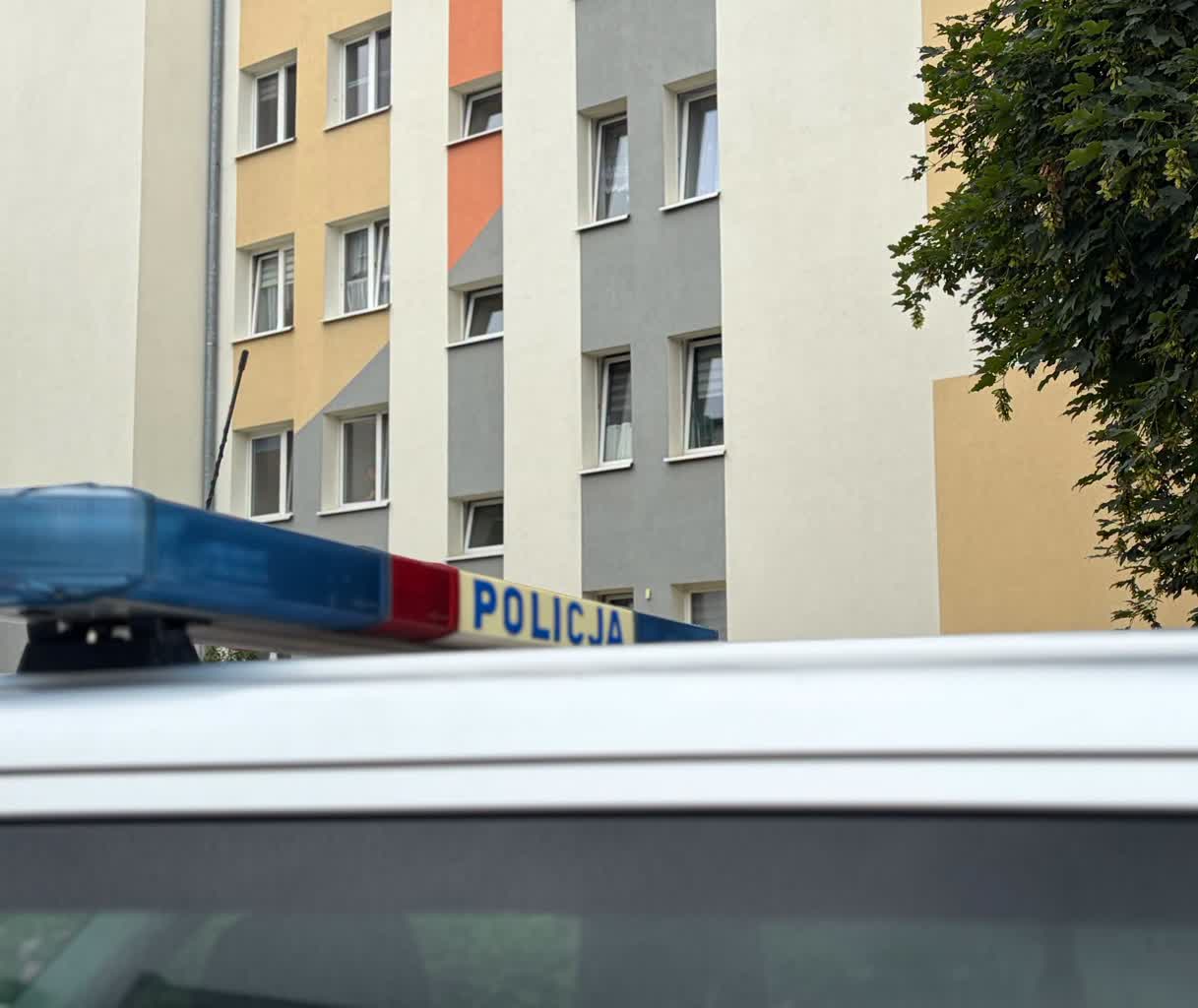 Tragedia w Puławach. Nie żyje młode małżeństwo 2 753145751_1106349365054460_4889338341667616102_n.jpg