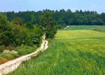 Alerty pierwszego stopnia przed upałami. Nawet 30°C w wielu województwach 3 EAttachments9655922d862d2c295145c37d37f66f6f213c8b0 xl