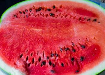EAttachments965716736a9bd8bc3771ac283eb154d1478f642 xl