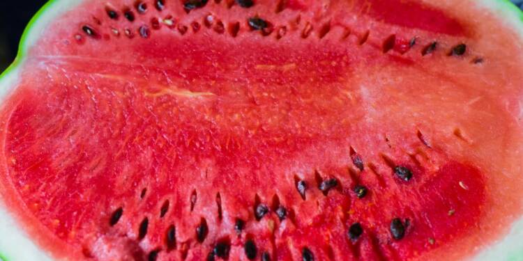 EAttachments965716736a9bd8bc3771ac283eb154d1478f642 xl