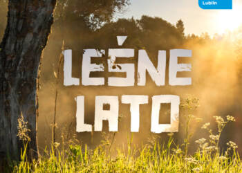 Dąb Bolko | Leśne lato 3 lesne lato2 1024x1024 1