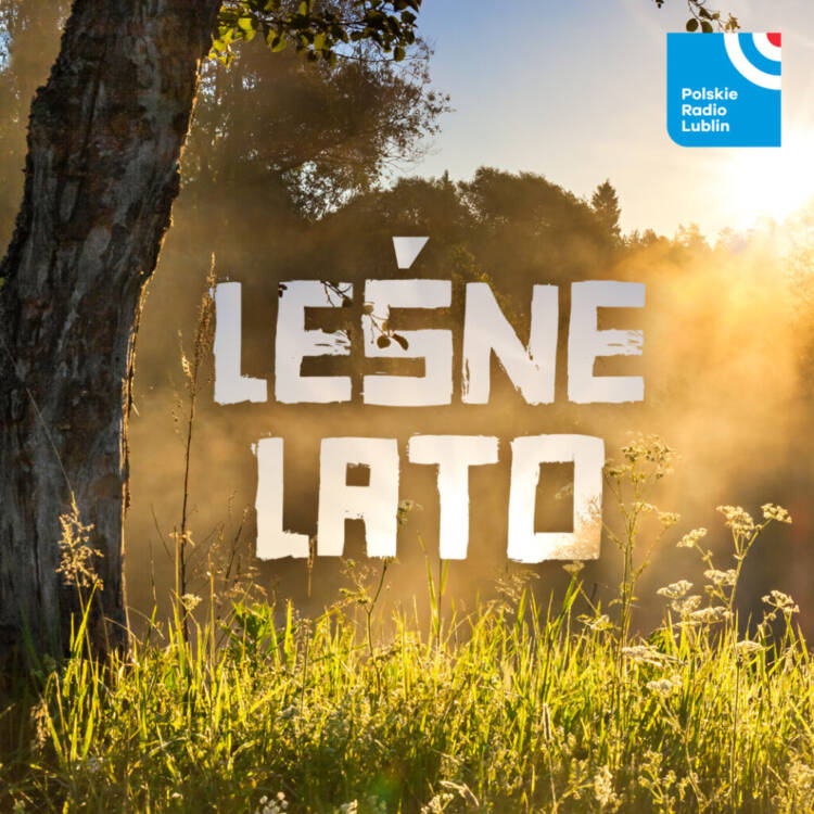 lesne lato2 1024x1024 1