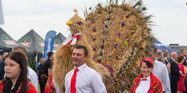 Dożynkowy czas. Lubelskie gminy zaczynają święta plonów 1 EAttachments895664108c48e9800d02353f3dec6509b5fd019