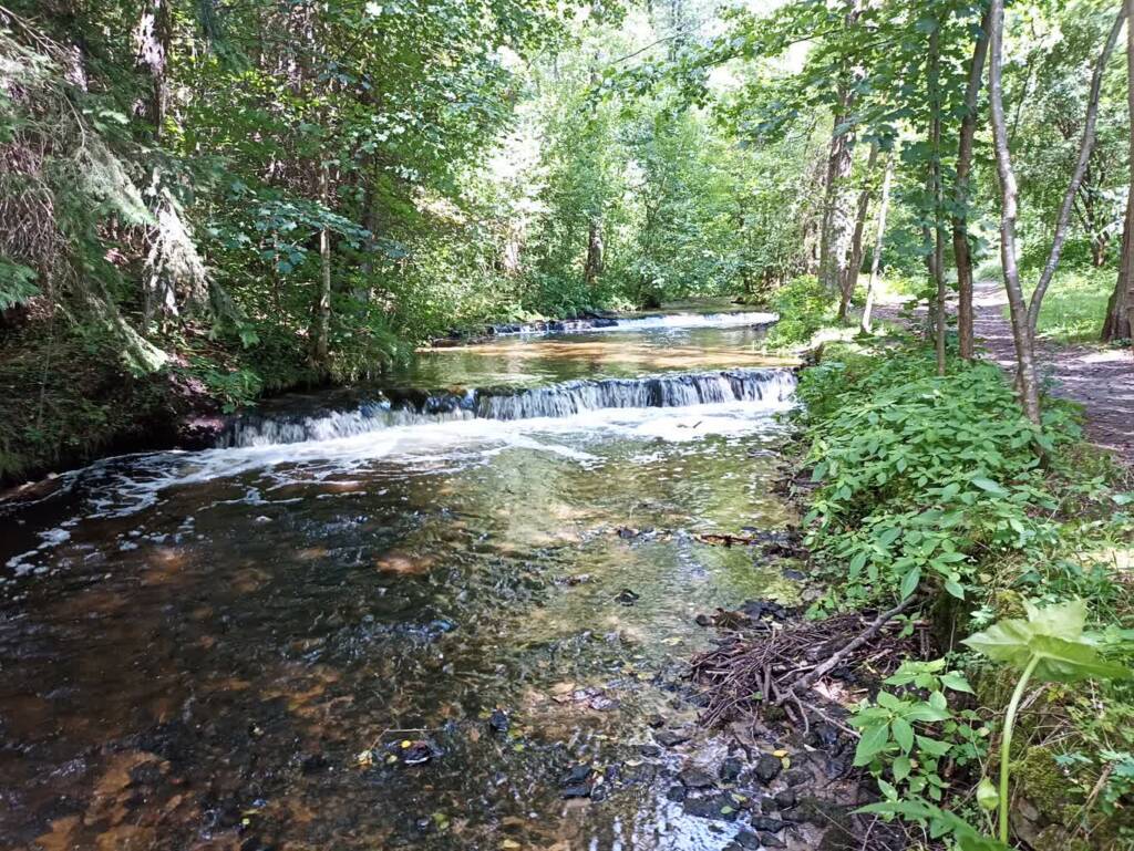 18.07.2026 Leśne lato - wakacyjne Roztocze 1 EAttachments96419467ebda97f6a2358c6d524bbe8fc68cc73 xl