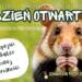 Święto przyrody. 18. Dzień Otwarty Roztoczańskiego Parku Narodowego już dziś 10 EAttachments96647627024a013d6e4e42d3a40b49c20e52f2a xl