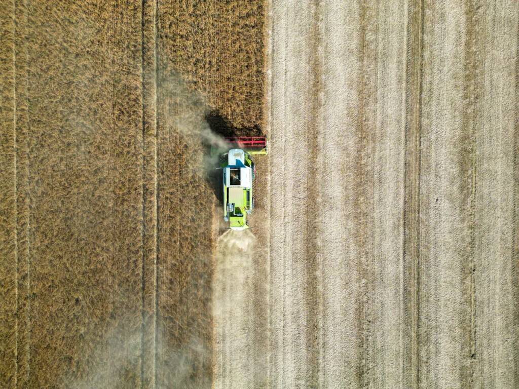 04.08.2026 Agrobiznes - dopłaty do kwalifikowanego materiału siewnego 1 EAttachments9671051083d02e15529df1987ebb924750ddbff xl
