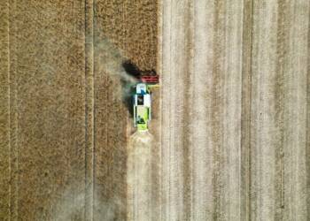 04.08.2026 Agrobiznes - dopłaty do kwalifikowanego materiału siewnego 2 EAttachments9671051083d02e15529df1987ebb924750ddbff xl