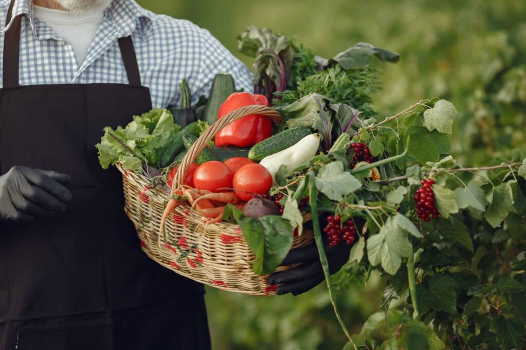07.08.2026 Agrobiznes - o ekologicznej uprawie owoców i warzyw 1 EAttachments967663933ef10f87eace616b51a287379f17ac9 xl