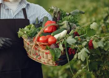 07.08.2026 Agrobiznes - o ekologicznej uprawie owoców i warzyw 5 EAttachments967663933ef10f87eace616b51a287379f17ac9 xl
