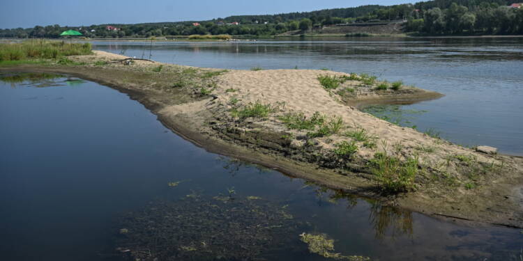 EAttachments96771006c0787930a72cc83e2564f9d45a69d6a xl