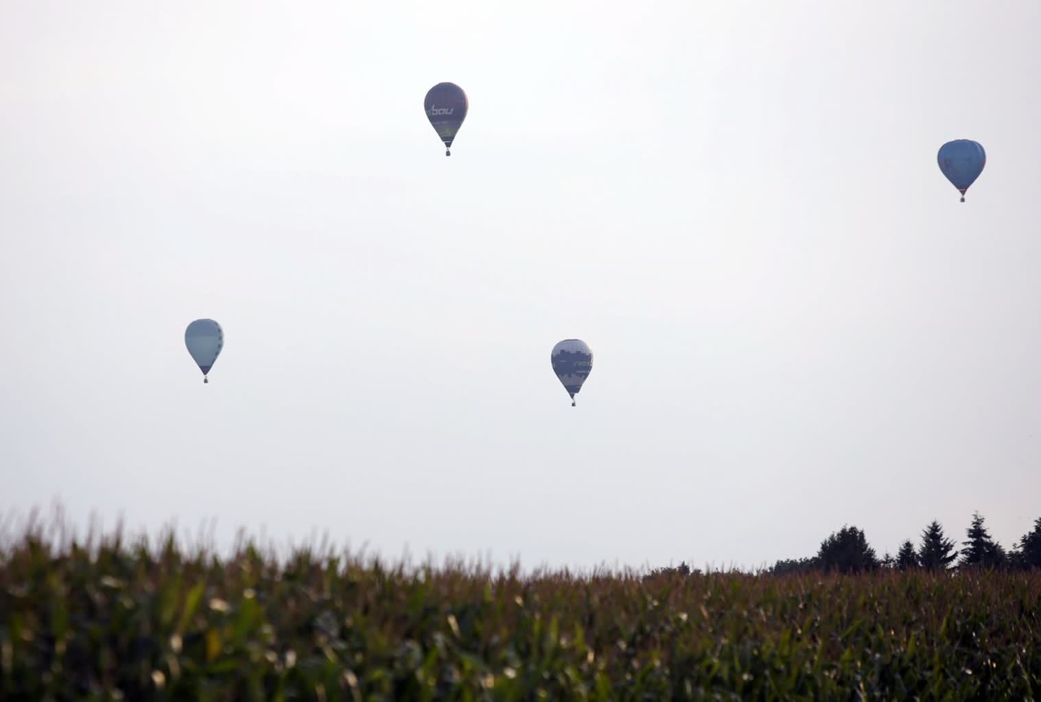 Niebo nad Nałęczowem pełne balonów. realizowane są mistrzostwa Polski