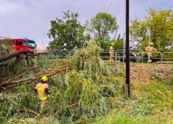Burze nad regionem. 60 interwencji strażaków w powiecie puławskim 2 EAttachments967848068dd62d000ad88d7b5a043142eb51bd3 xl