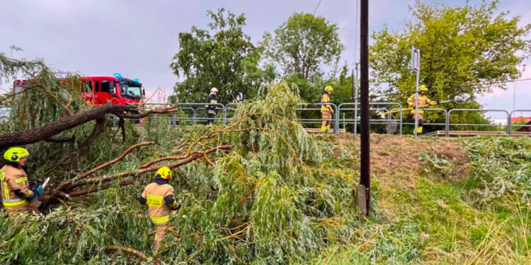 Burze nad regionem. 60 interwencji strażaków w powiecie puławskim 1 EAttachments967848068dd62d000ad88d7b5a043142eb51bd3 xl