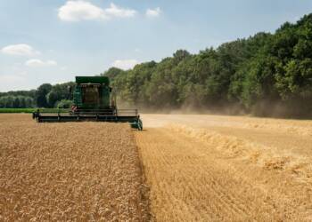 11.08.2026 Agrobiznes - wypadki w rolnictwie 2 EAttachments9683736179bc82b45bcf8ae49f9f19804b6f417 xl