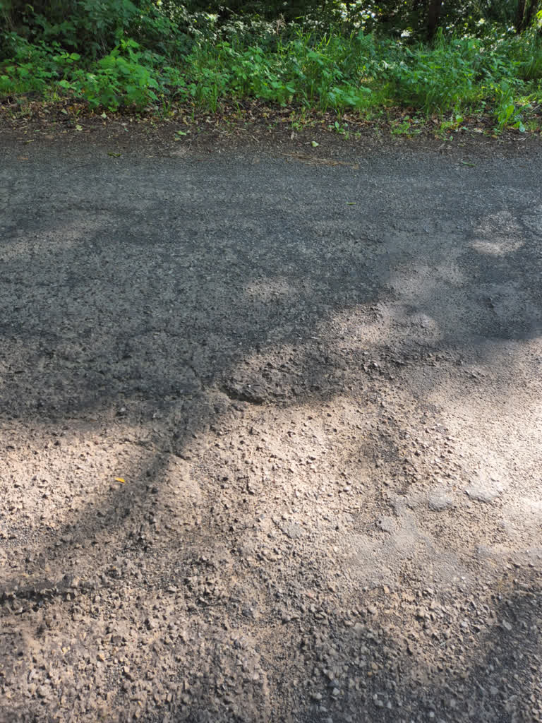 20260810_085241.jpg