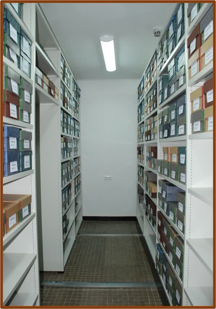 Fot. archiwum Katedry Botaniki, Mykologii i Ekologii UMCS (2).jpg