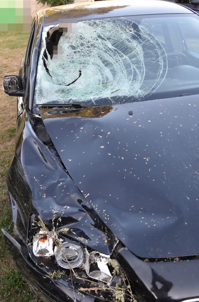Śmiertelnie potrącił kobietę i uciekł. Jest zarzut dla 26-latka 3 346-295758.jpg