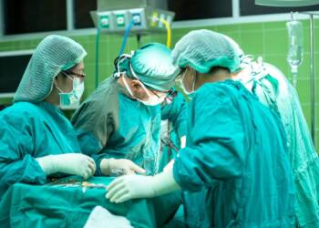 12 transplantacji w ciągu 9 dni! Intensywny czas w lubelskim szpitalu 3 EAttachments9688847f32c3cbb8ac1eadf0683a32a45d864cd xl