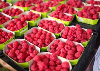 EAttachments9689139c967b0b303c5f022d31e5d1929f274a1 xl