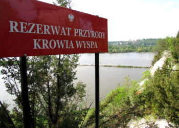 EAttachments9701663db13e3f3a338b7d292477f5131ea63c7 xl