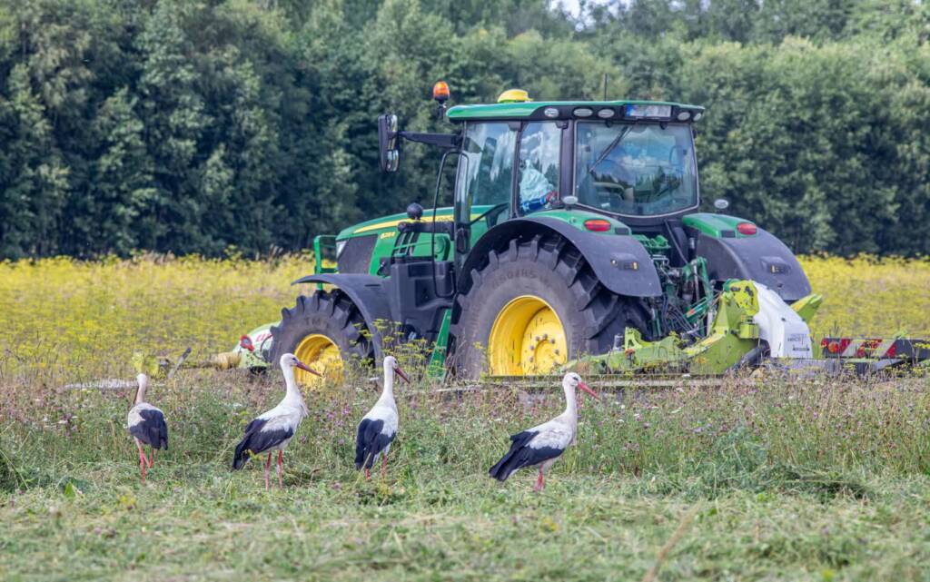 21.08.2026 Agrobiznes - kontrola jakości żywności i nowoczesne maszyny 1 EAttachments9702543bd3f0b712ae96b80acd725c56b6765e4 xl